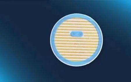 展会预告 | 瑞士传感芯片大厂 IST 邀您Sensor China 见(图3)