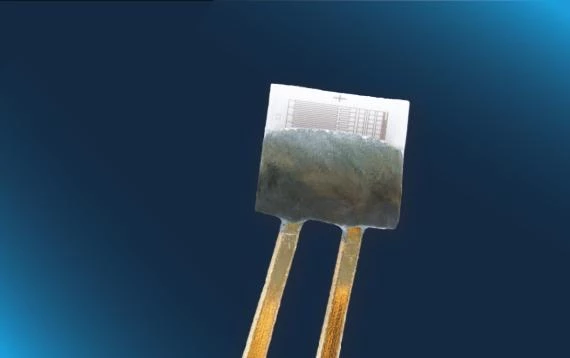 P1K0.202.3FW.B.007 - Pt1000 F0.15等级 带扁平线，具备优化的防静电（ESD）设计