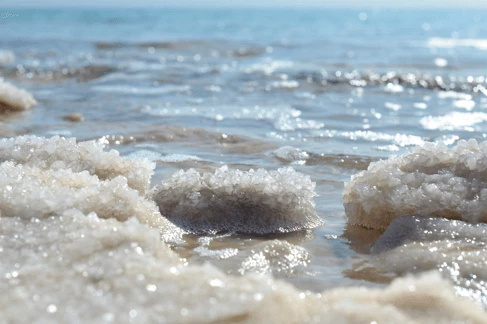 ist 电导率传感器.png