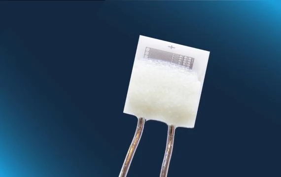 P1K0.232.6W.C.010 - Pt1000 F0.6 等级,具备优化的防静电(ESD)设计